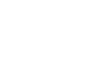 LIsa Mensing Logo